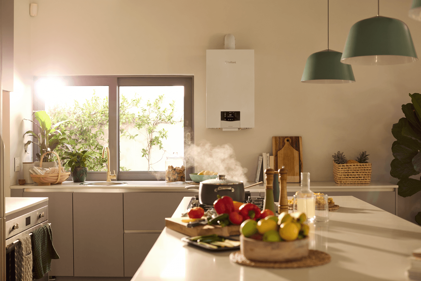ecoTEC plus  15 - 35 kw scene view