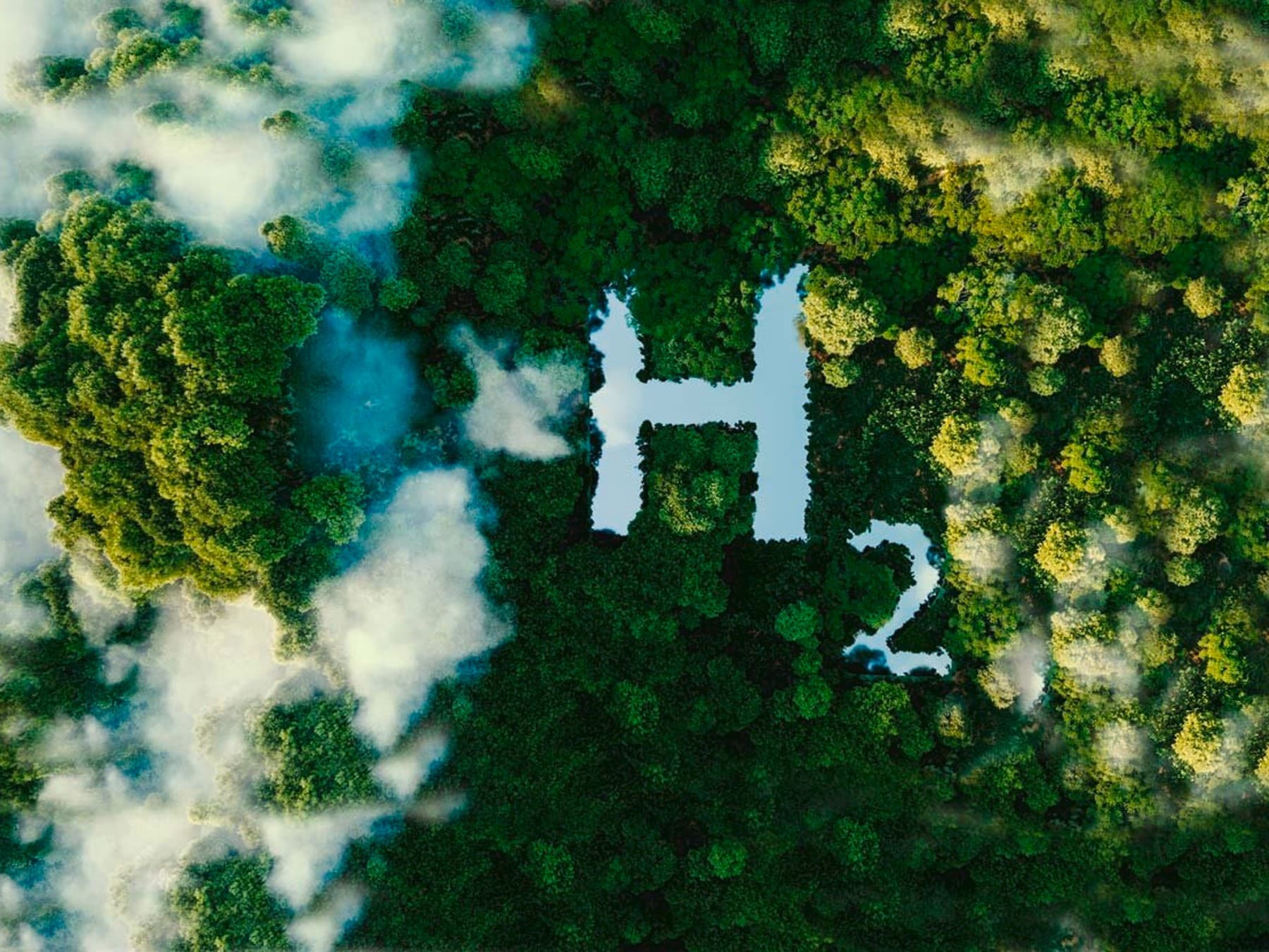 Symbol wodoru na lesie