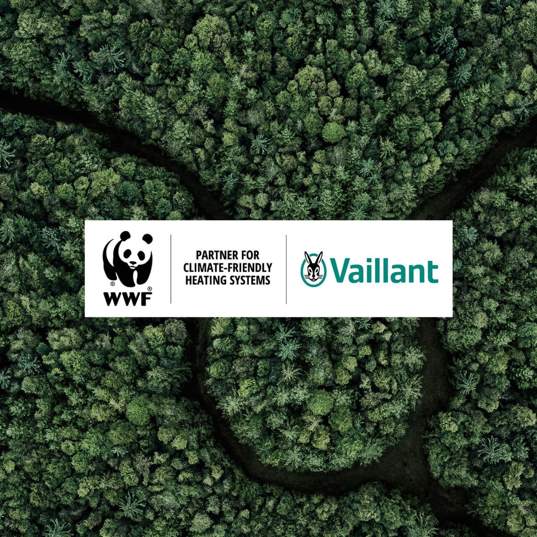 wwf